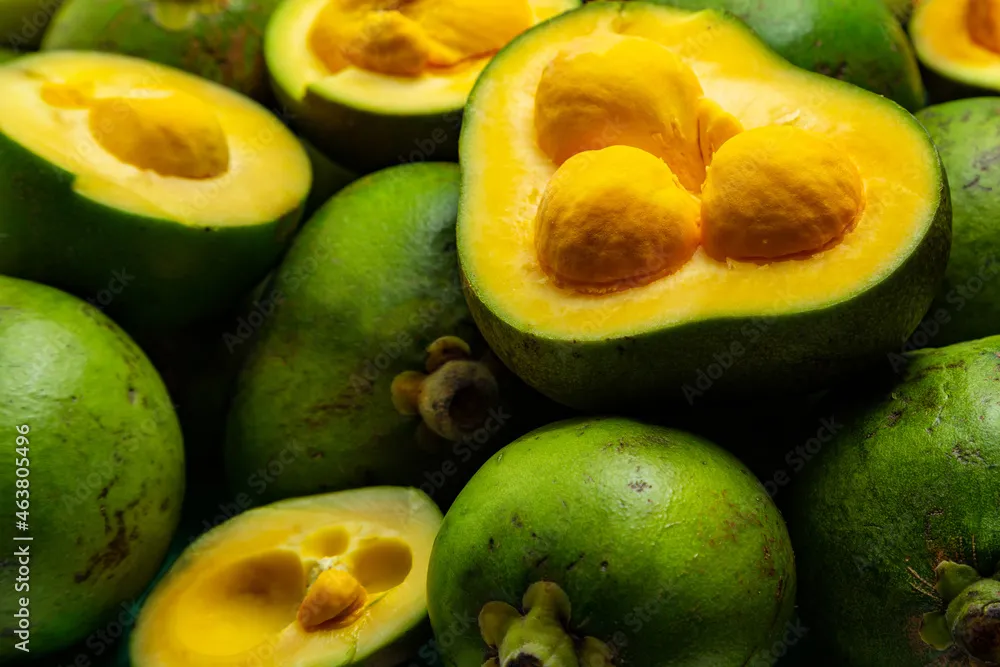 PEQUI e seus MORCEGOS frutos de pequi abertos mostrando 3 sementes cada um
