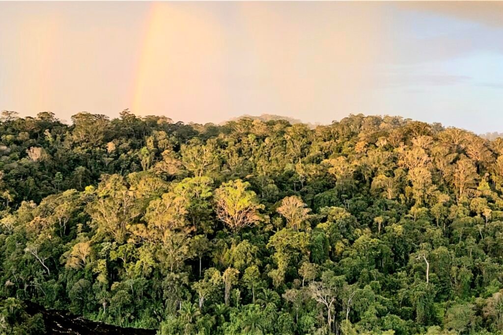 Floresta Amazônica