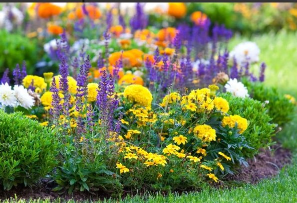 jardins amigaveis Jardins Funcionais e Amigáveis aos Polinizadores