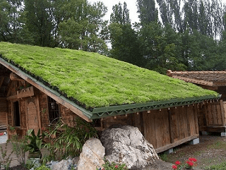 casa com telhado verde